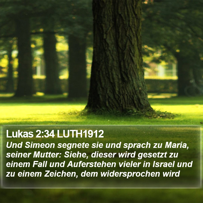Lukas 2:34 LUTH1912 Bible Study