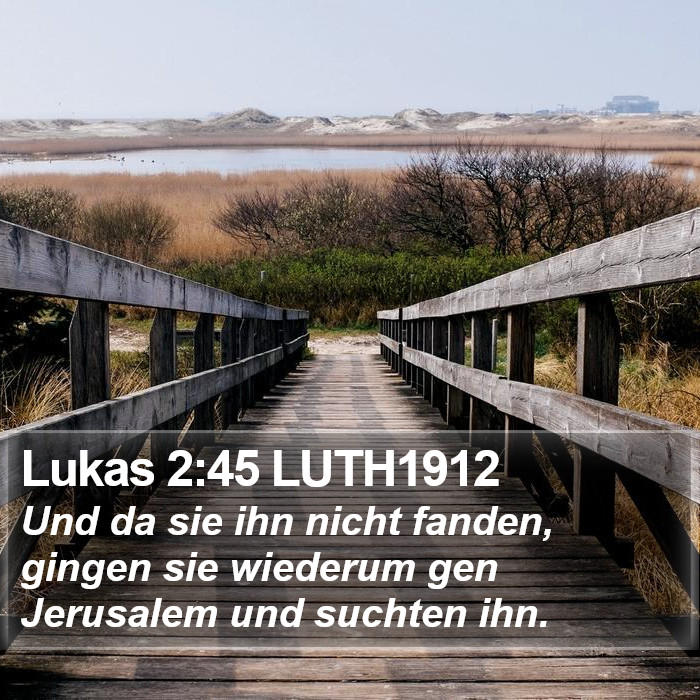 Lukas 2:45 LUTH1912 Bible Study