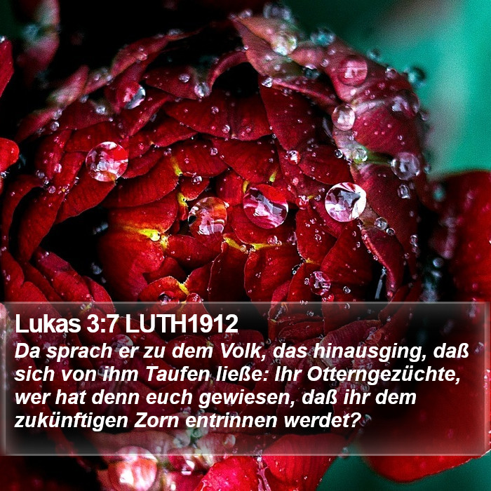 Lukas 3:7 LUTH1912 Bible Study