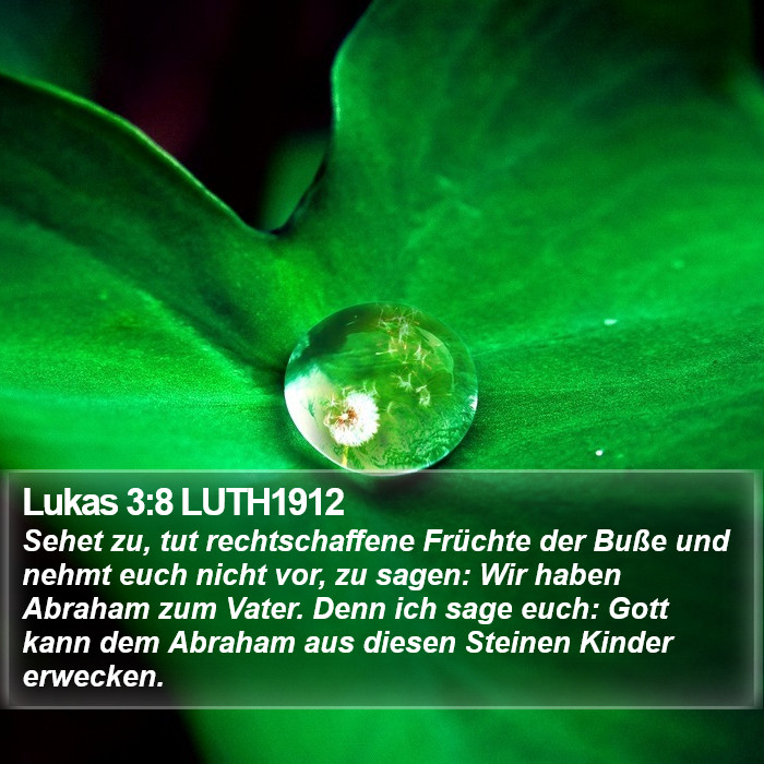 Lukas 3:8 LUTH1912 Bible Study