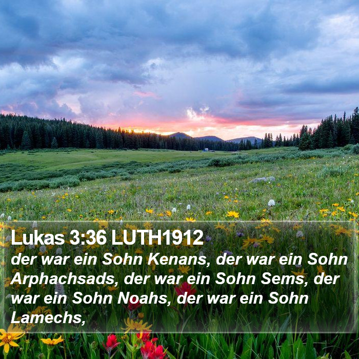 Lukas 3:36 LUTH1912 Bible Study