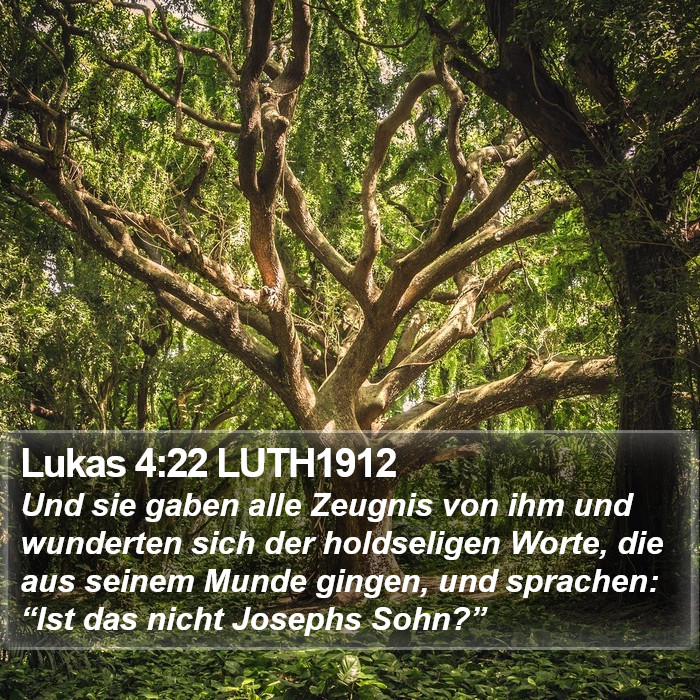 Lukas 4:22 LUTH1912 Bible Study