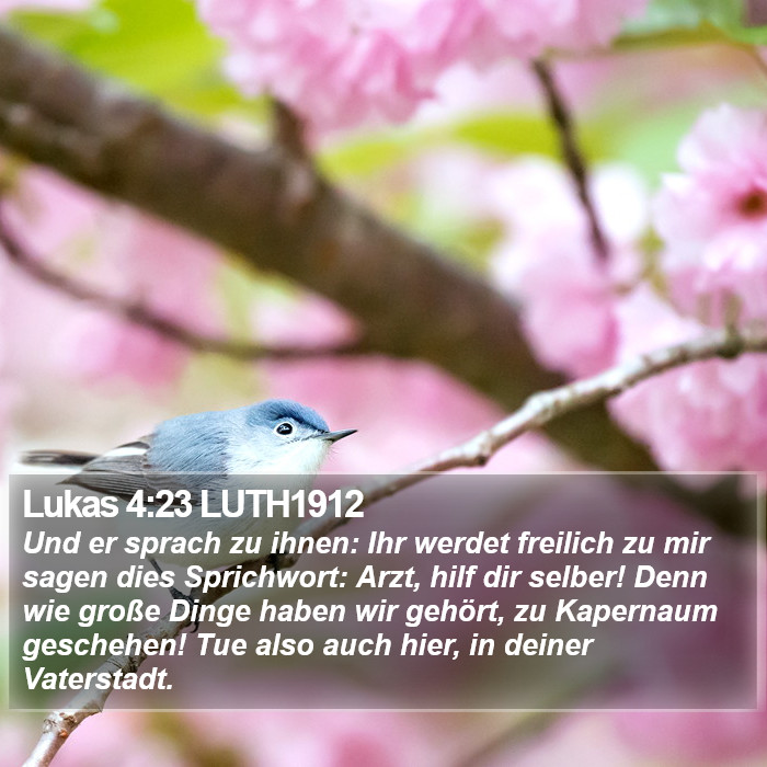 Lukas 4:23 LUTH1912 Bible Study