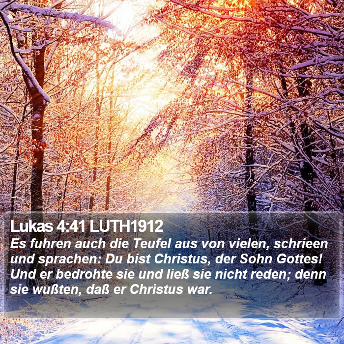 Lukas 4:41 LUTH1912 Bible Study