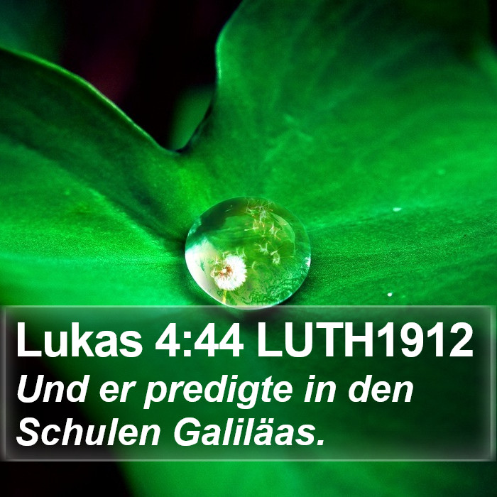 Lukas 4:44 LUTH1912 Bible Study