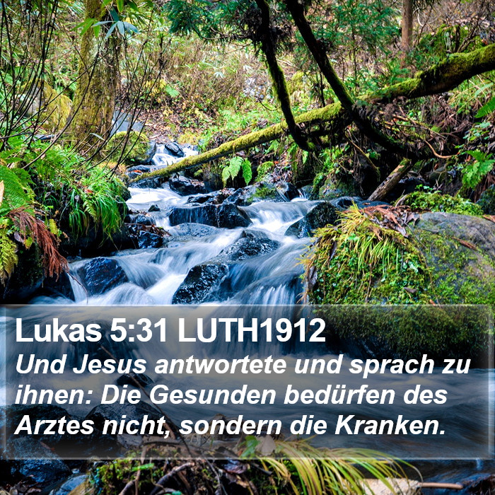 Lukas 5:31 LUTH1912 Bible Study
