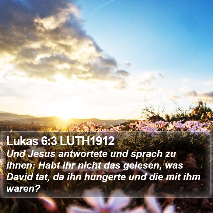 Lukas 6:3 LUTH1912 Bible Study