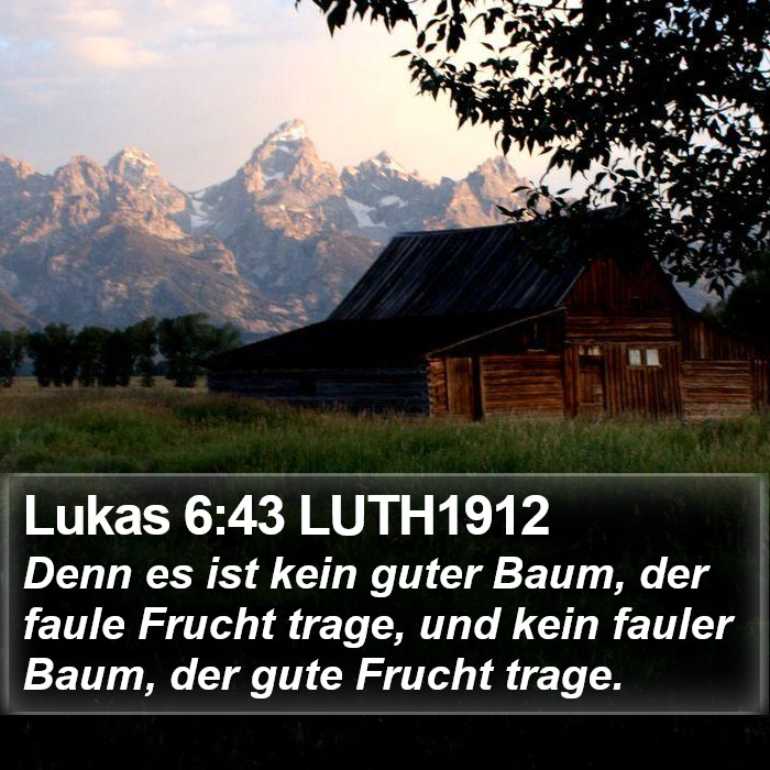 Lukas 6:43 LUTH1912 Bible Study