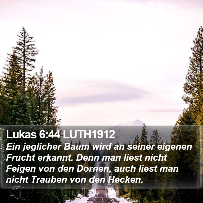 Lukas 6:44 LUTH1912 Bible Study