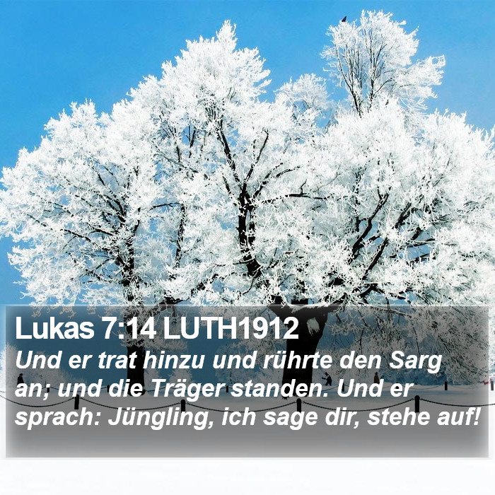 Lukas 7:14 LUTH1912 Bible Study
