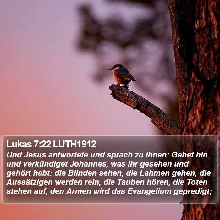 Lukas 7:22 LUTH1912 Bible Study