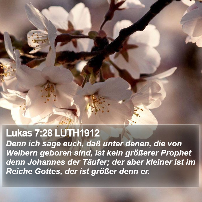 Lukas 7:28 LUTH1912 Bible Study