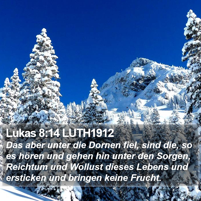 Lukas 8:14 LUTH1912 Bible Study