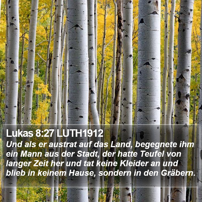 Lukas 8:27 LUTH1912 Bible Study