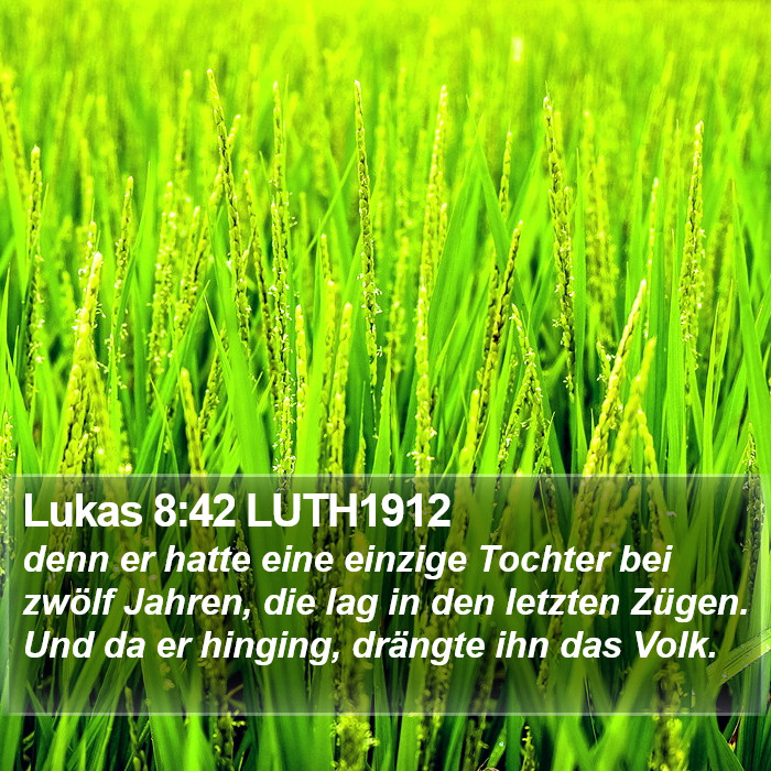Lukas 8:42 LUTH1912 Bible Study