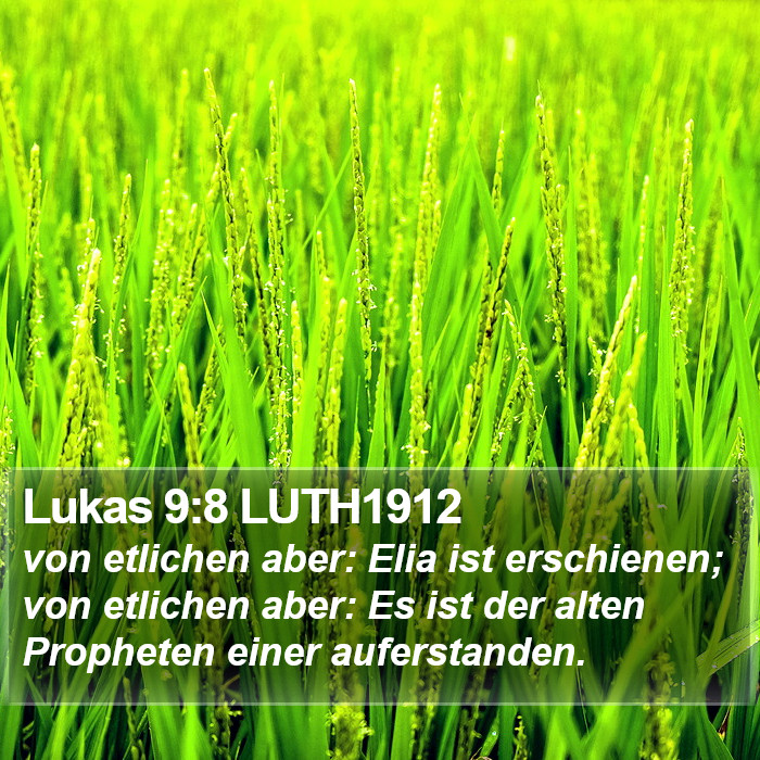 Lukas 9:8 LUTH1912 Bible Study