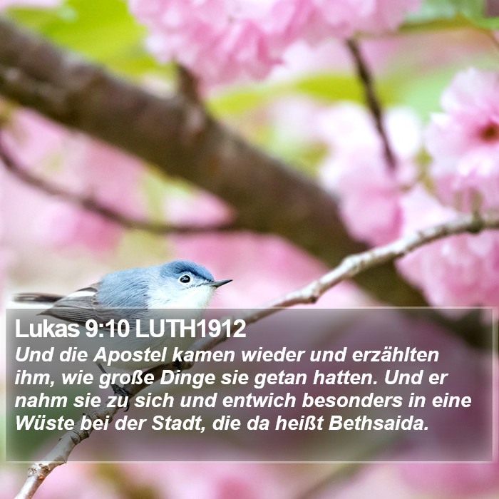 Lukas 9:10 LUTH1912 Bible Study