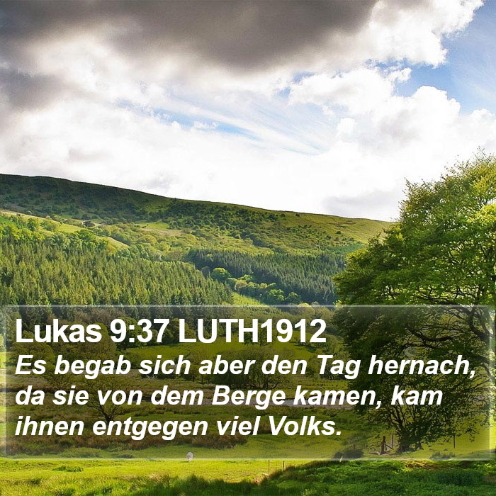 Lukas 9:37 LUTH1912 Bible Study