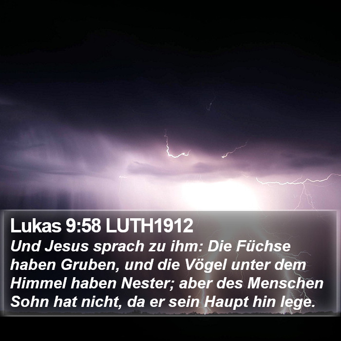 Lukas 9:58 LUTH1912 Bible Study