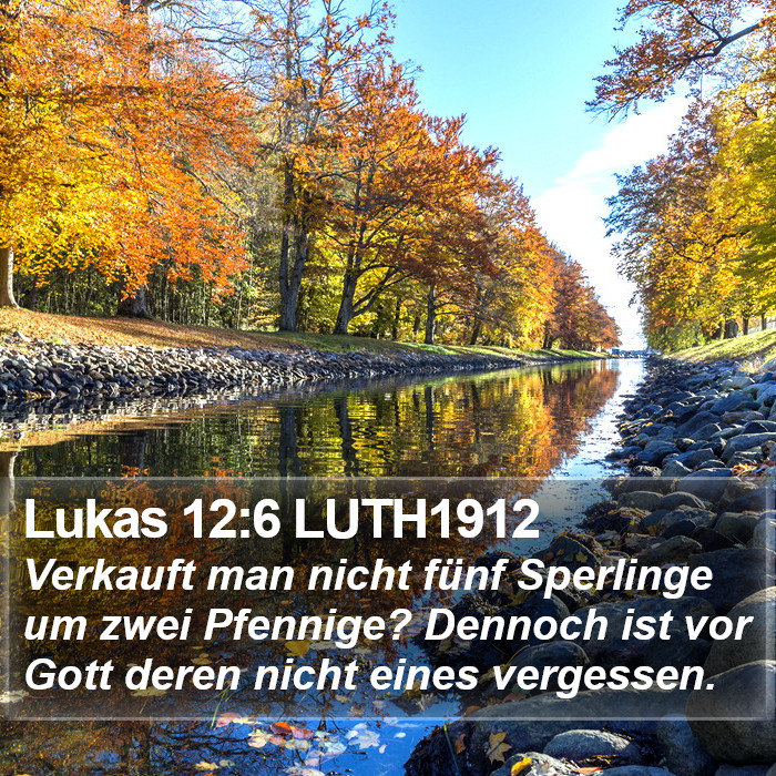 Lukas 12:6 LUTH1912 Bible Study