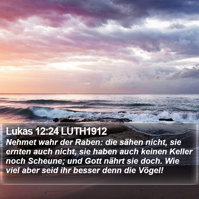 Lukas 12:24 LUTH1912 Bible Study