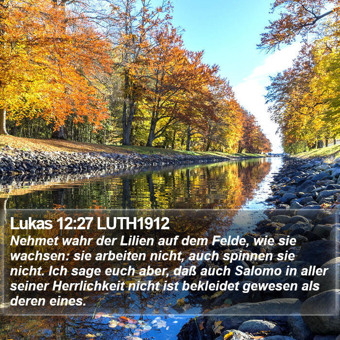 Lukas 12:27 LUTH1912 Bible Study