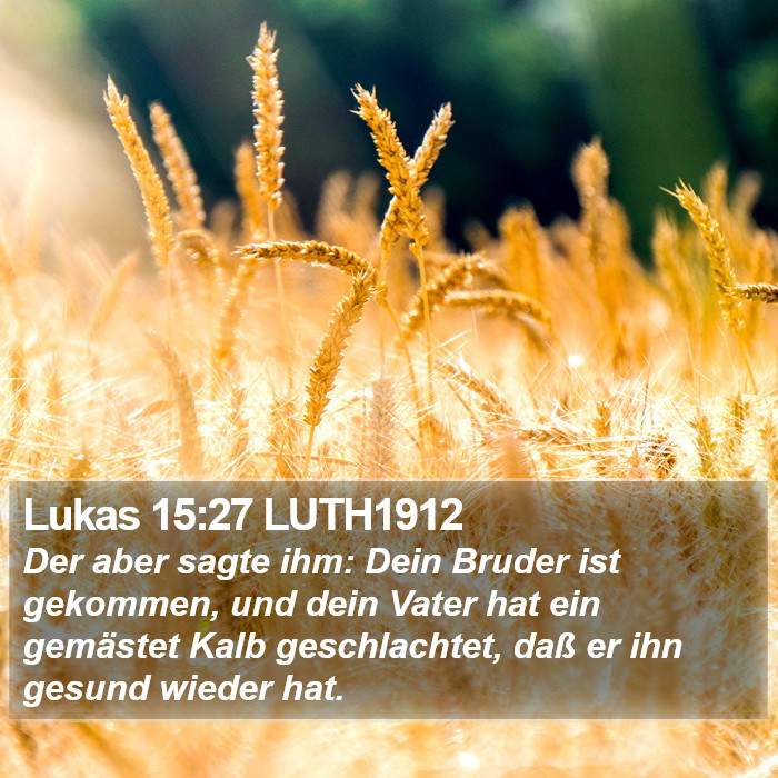 Lukas 15:27 LUTH1912 Bible Study
