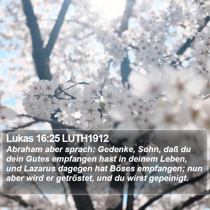 Lukas 16:25 LUTH1912 Bible Study