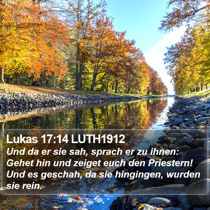 Lukas 17:14 LUTH1912 Bible Study