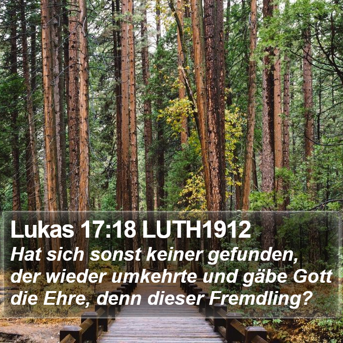 Lukas 17:18 LUTH1912 Bible Study