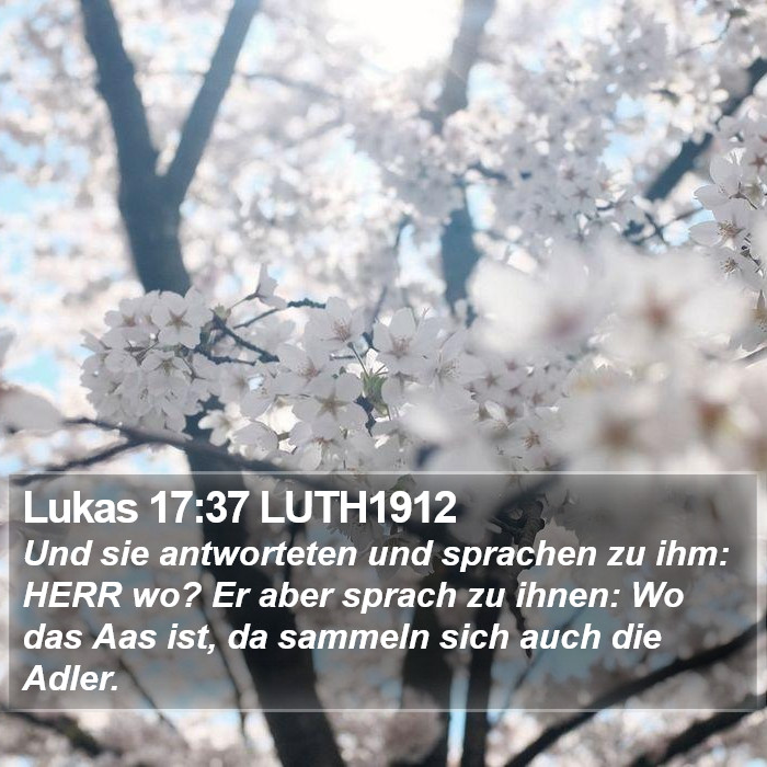 Lukas 17:37 LUTH1912 Bible Study