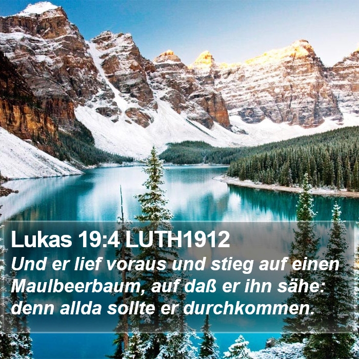 Lukas 19:4 LUTH1912 Bible Study