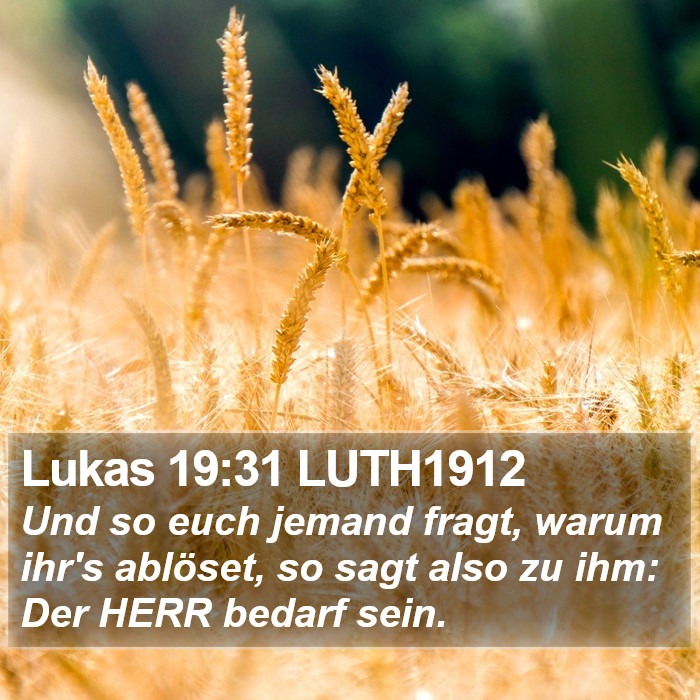 Lukas 19:31 LUTH1912 Bible Study