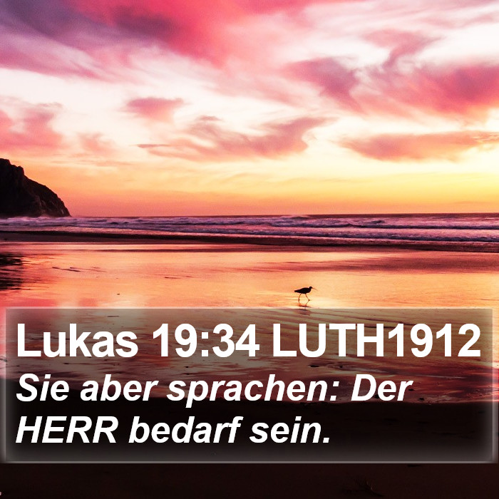 Lukas 19:34 LUTH1912 Bible Study