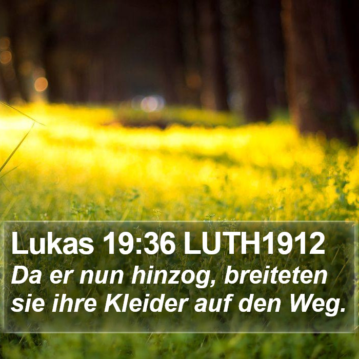 Lukas 19:36 LUTH1912 Bible Study