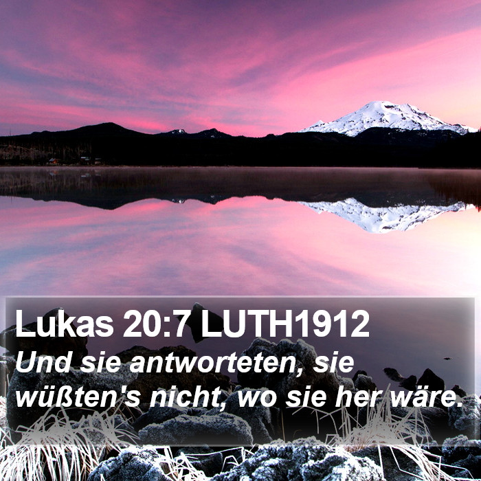 Lukas 20:7 LUTH1912 Bible Study
