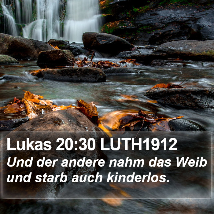 Lukas 20:30 LUTH1912 Bible Study