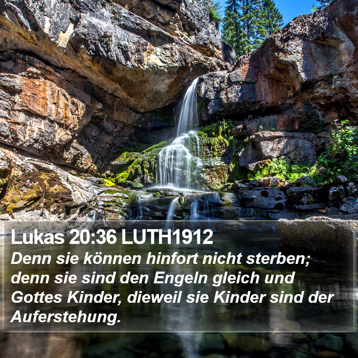 Lukas 20:36 LUTH1912 Bible Study