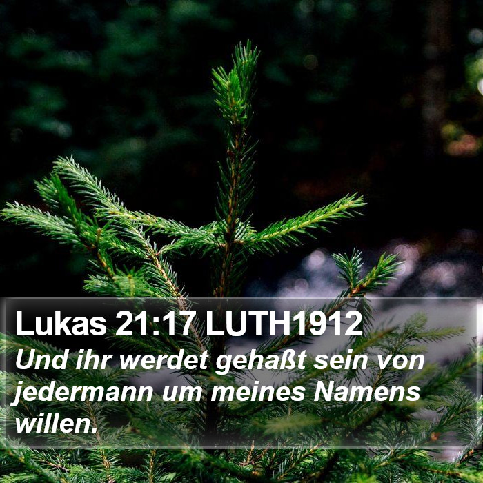 Lukas 21:17 LUTH1912 Bible Study