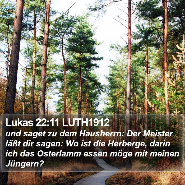 Lukas 22:11 LUTH1912 Bible Study