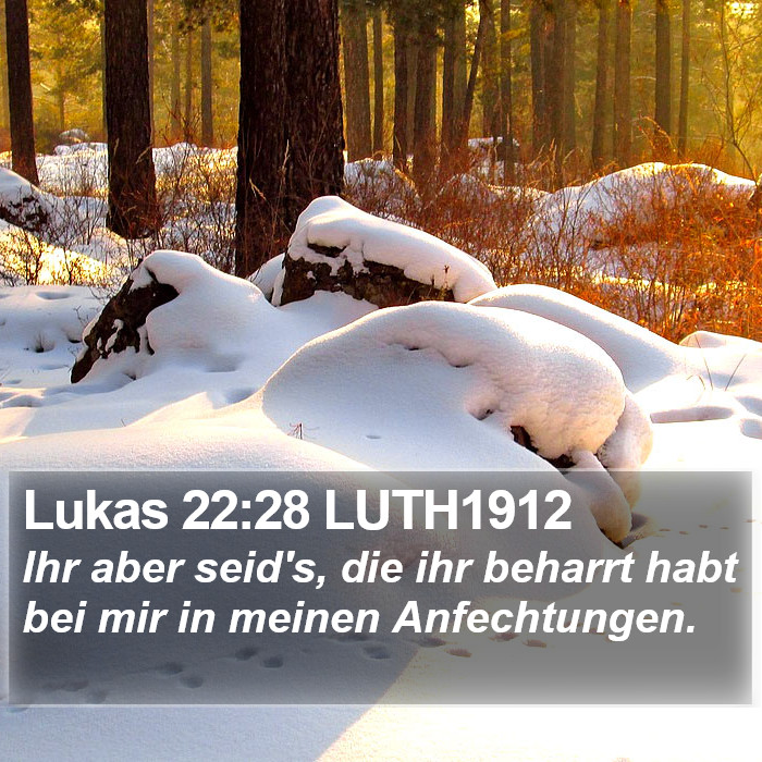 Lukas 22:28 LUTH1912 Bible Study