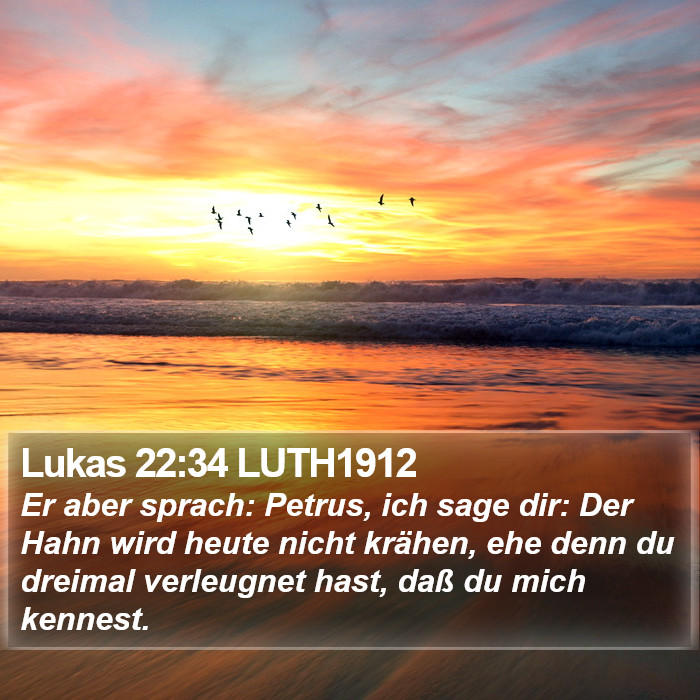 Lukas 22:34 LUTH1912 Bible Study