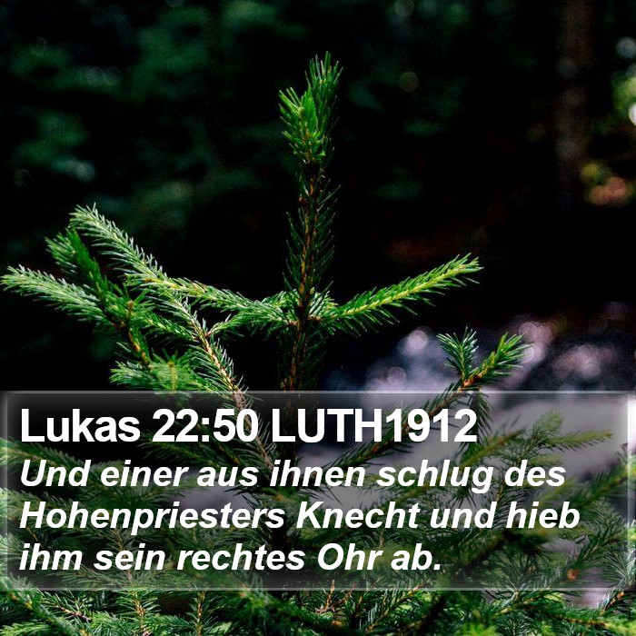 Lukas 22:50 LUTH1912 Bible Study