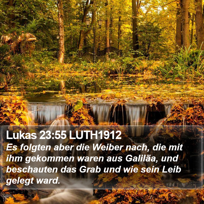 Lukas 23:55 LUTH1912 Bible Study