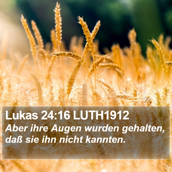 Lukas 24:16 LUTH1912 Bible Study