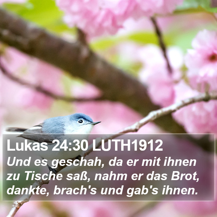 Lukas 24:30 LUTH1912 Bible Study