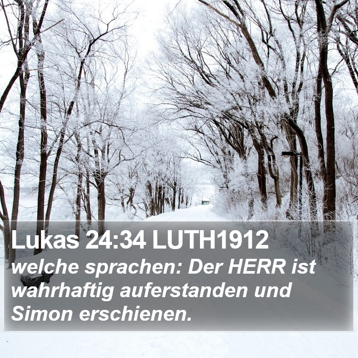 Lukas 24:34 LUTH1912 Bible Study