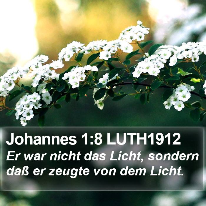 Johannes 1:8 LUTH1912 Bible Study