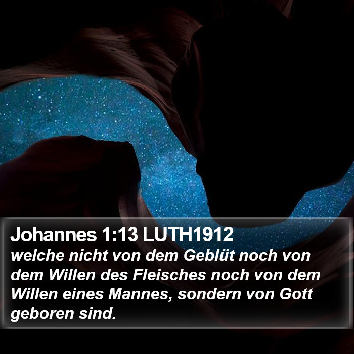 Johannes 1:13 LUTH1912 Bible Study