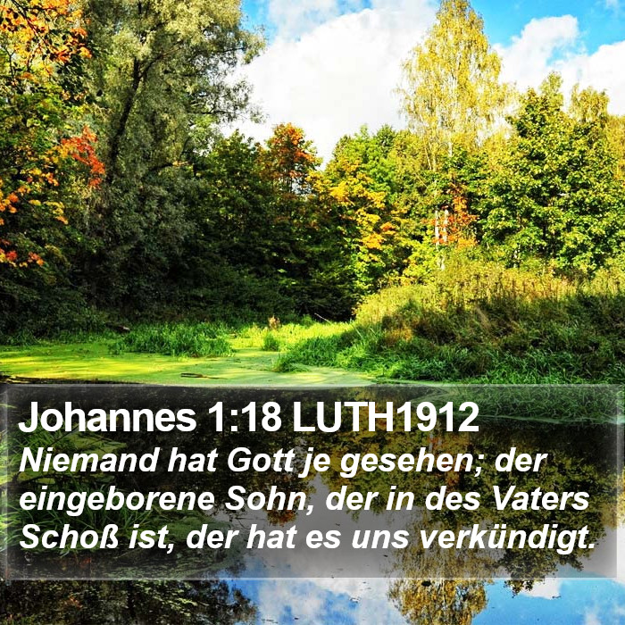 Johannes 1:18 LUTH1912 Bible Study